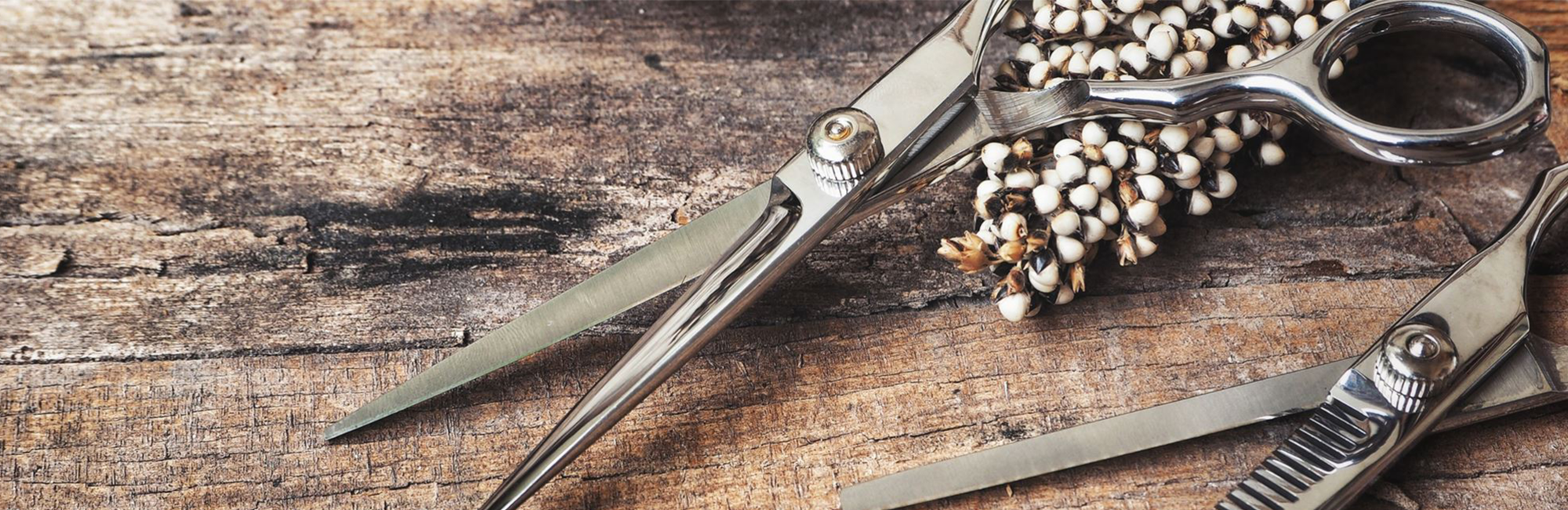 あなたの髪を より美しく、より艶やかに